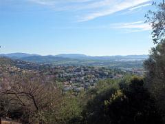 183 HYERES ET SES PALMIERS D03_000010